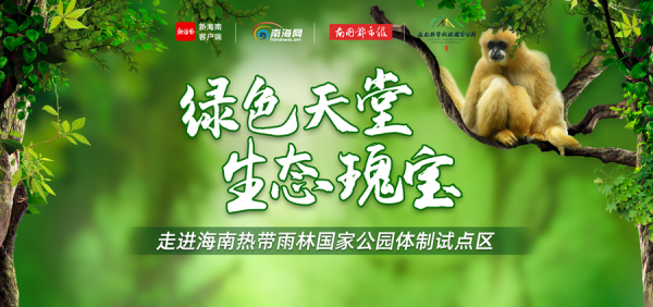 跟隨護林員走進海南鸚哥嶺，一起探秘巡山護林生活