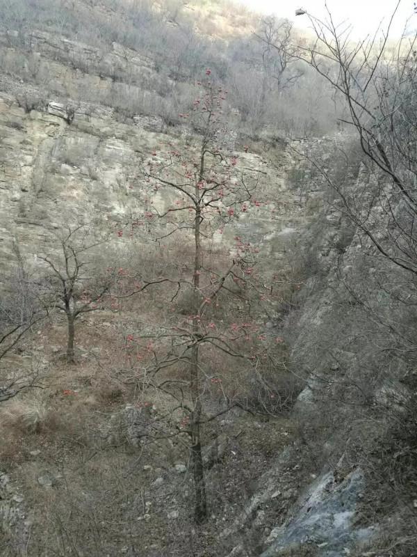 唐莊黃石屋聖峪口攀爬 唐莊黃石屋聖峪口攀爬