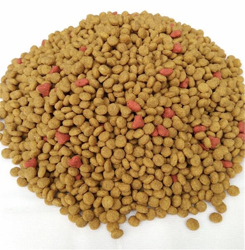 有貓糧為啥還要準備主食罐？從貓咪營養需求出發，乾糧是最後選擇