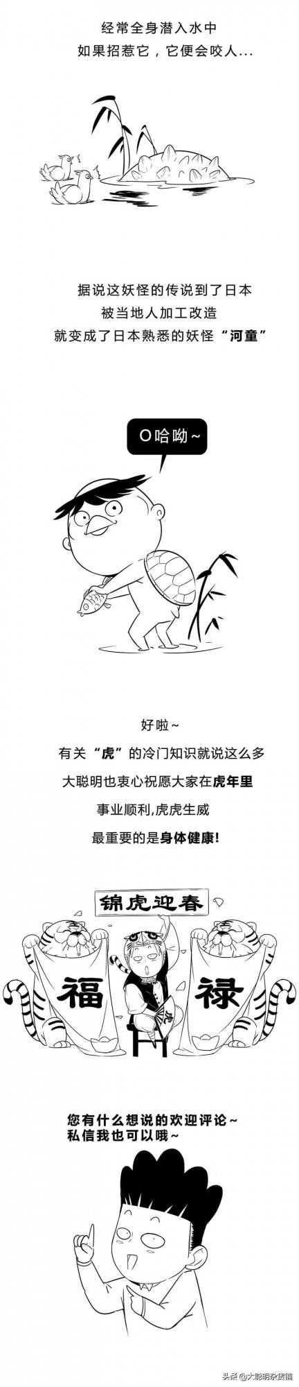 &OpenCurlyDoubleQuote;虎&rdquo;竟然是計量單位？貓師傅為啥不教老虎上樹？虎年冷知識走起