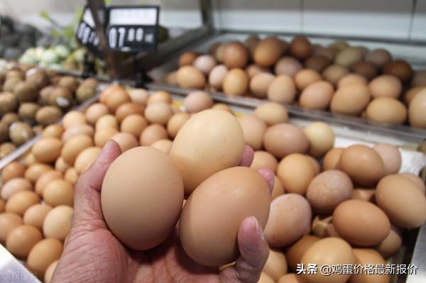 今日雞蛋價格下跌！2021年12月29日雞蛋價格行情早報