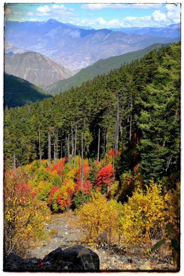 2021雲南遊-3 2021雲南遊-3