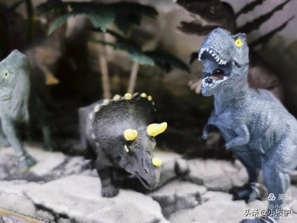 我的2021 又十二超市裡拍攝的恐龍
