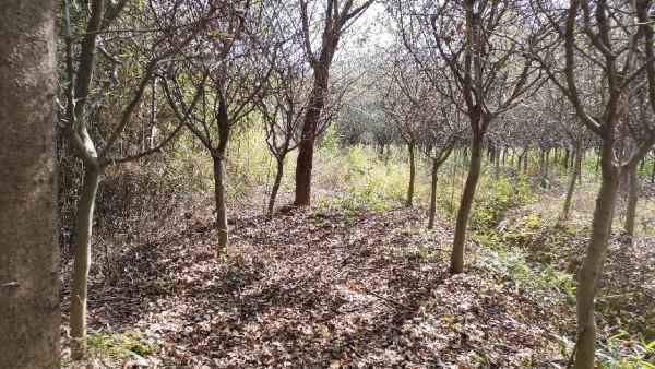 向左還是向右該何去何從，男人的野性在呼喚