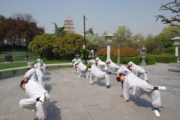 中華武術武功秘籍—12式易筋經!長期練習延年益壽、預防疾病 中華武術武功秘籍—12式易筋經!長期練習延年益壽、預防疾病