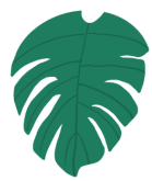 “三伏天”要注意防寒！對，你沒聽錯~