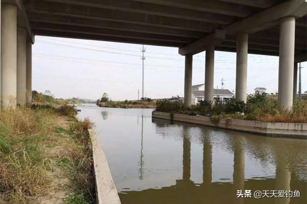 小寒前後魚群在深水，找這4個地方下竿，別人只能看你連竿上魚