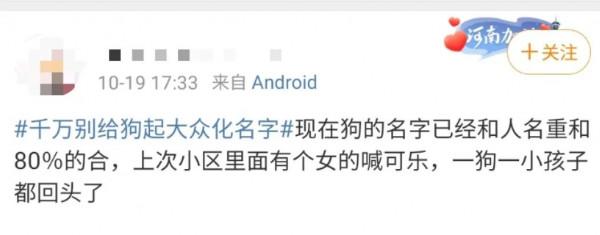 寵物店崩潰日常：太多“多多”了，你是哪家的多多