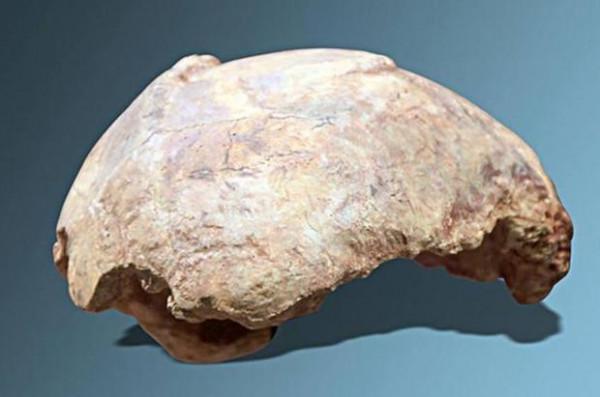 人類的第一個人，是男人還女人？又是從哪裡來的？