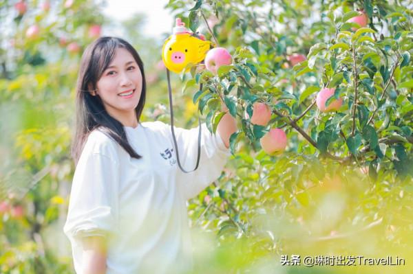 嚮往的鄉遊就在北京延慶