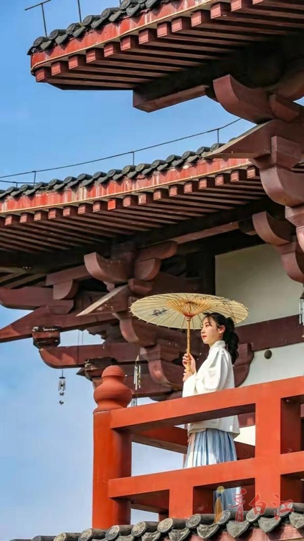 青白江，誰讓我驀然回首？