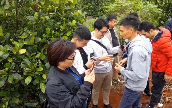 小夥捨棄百萬年薪，返鄉種植榴蓮味菠蘿蜜，年銷售額突破三千萬元