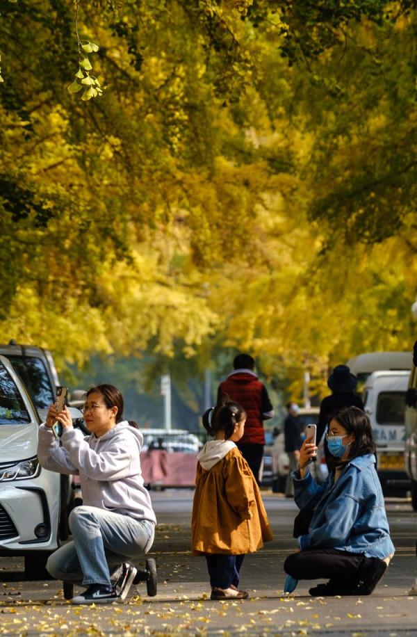 最愛北京，金秋如畫