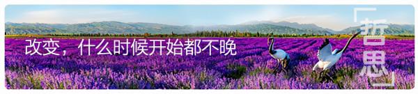 哲思 &vert; 一個人的習慣裡，藏著他的命運