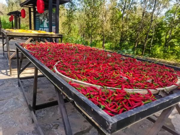 慶國慶，這個古村太熱鬧，養眼又怡情，還有滿滿的中國紅