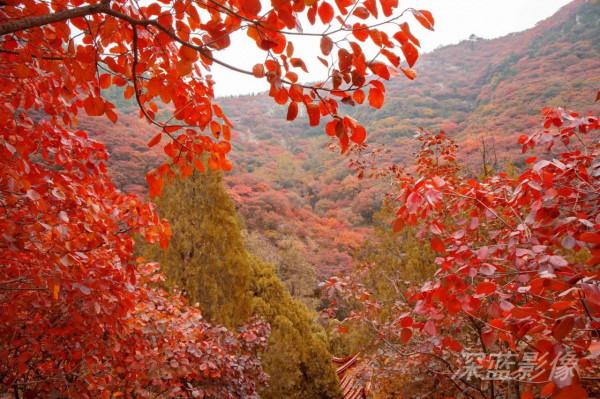 石門坊最美紅葉 石門坊最美紅葉