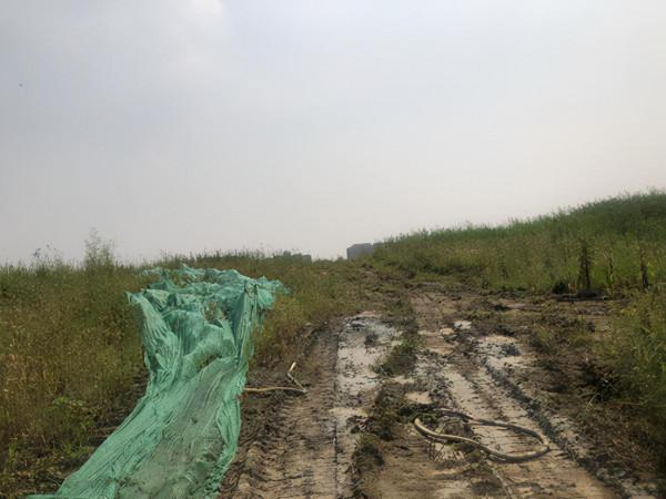 瘋狂內卷！今年剛需躲不掉的區域又上新了，這次是機會還是坑？