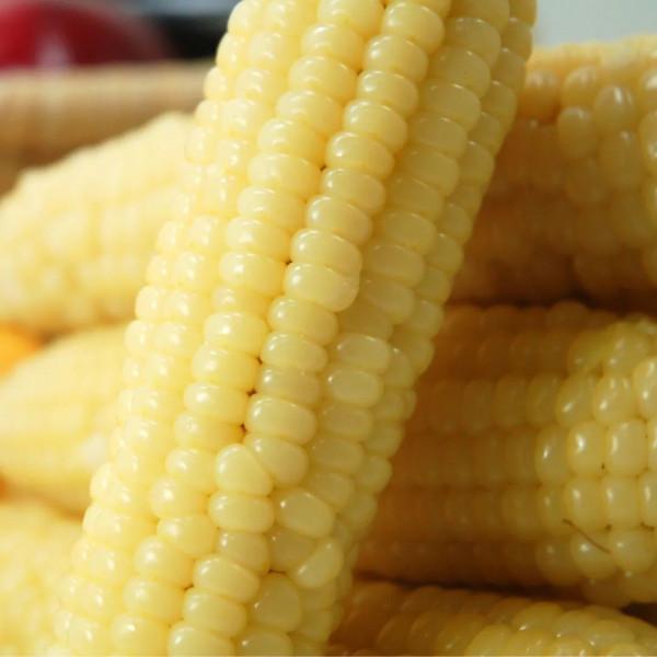 能迅速解膩、降脂、刮油的蔬菜有哪些？