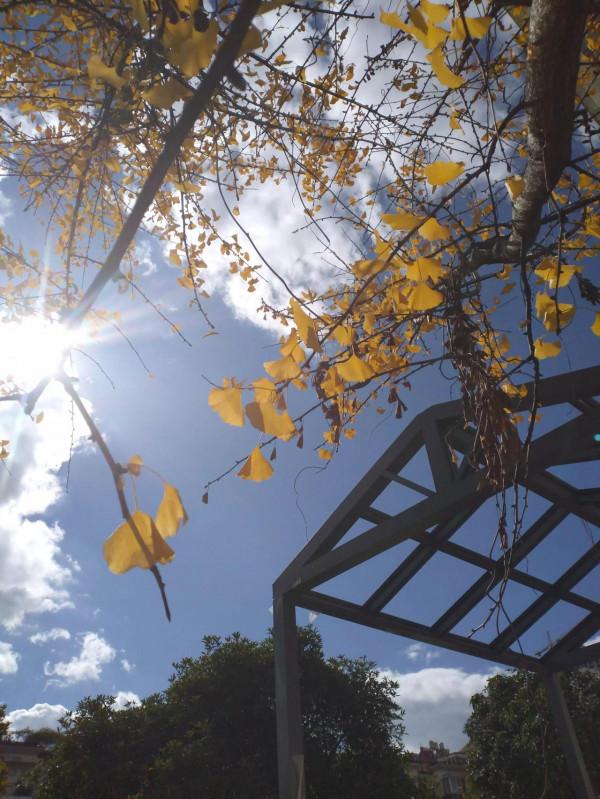 晚年的健康是你中老年工作生活習慣的形成的 晚年的健康是你中老年工作生活習慣的形成的