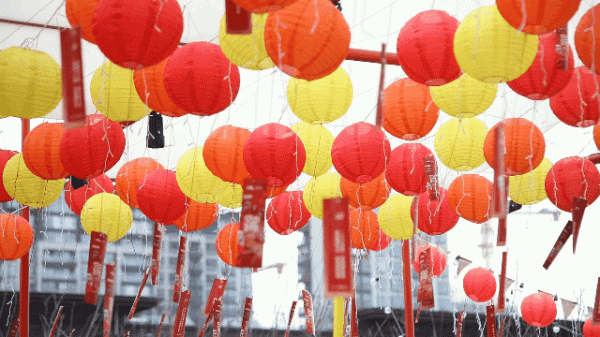 虎虎生威、龍騰虎躍,快來江北打卡萌虎 虎虎生威、龍騰虎躍,快來江北打卡萌虎