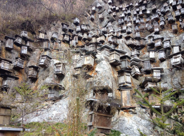 中國神農架深處真的不被允許前往嗎?為什麼要設立人類禁區? 中國神農架深處真的不被允許前往嗎?為什麼要設立人類禁區?