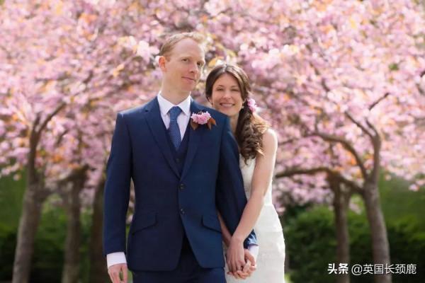 櫻花樹下的英國，你想念嗎？