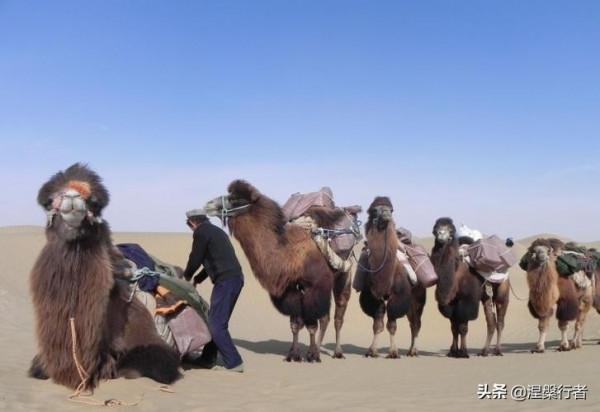 徒步穿越魔鬼谷，被稱為沙漠之王的趙子允，忘卻生死才能幕天席地