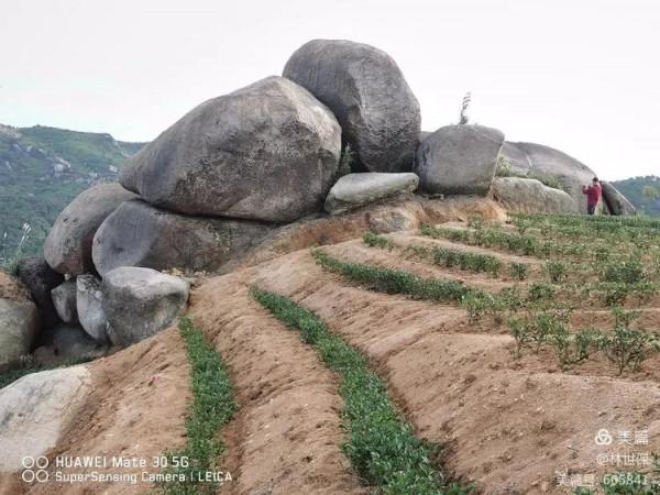 朋友圈2021年第31期