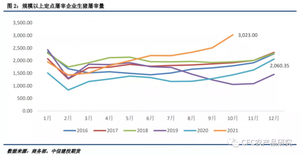 「2022生豬年報」告別非瘟時代，紅海逐浪而行