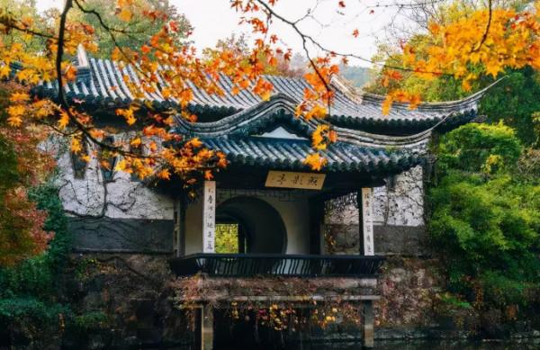 江蘇低調古鎮，5A級景區擁有4000年曆史，少有人知仍保留原始風貌