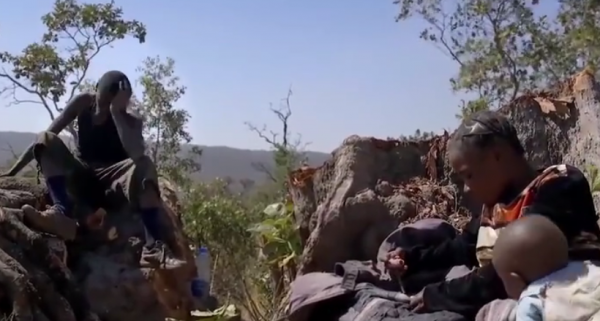 非洲底層人民的絕望:1只老鼠三人分,要想賣炭得走上50公里山路 非洲底層人民的絕望:1只老鼠三人分,要想賣炭得走上50公里山路