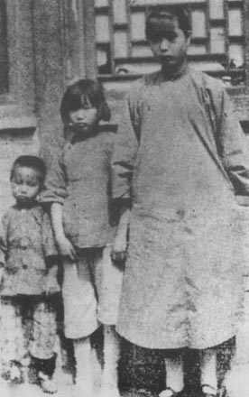 李葆華與李星華：繼承李大釗遺志，卻有不同人生，後人獲七一獎章