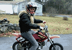 70個神奇照片,狗熊大戰狼,美國槍斃處決室,施瓦辛格的非洲兄弟 70個神奇照片,狗熊大戰狼,美國槍斃處決室,施瓦辛格的非洲兄弟