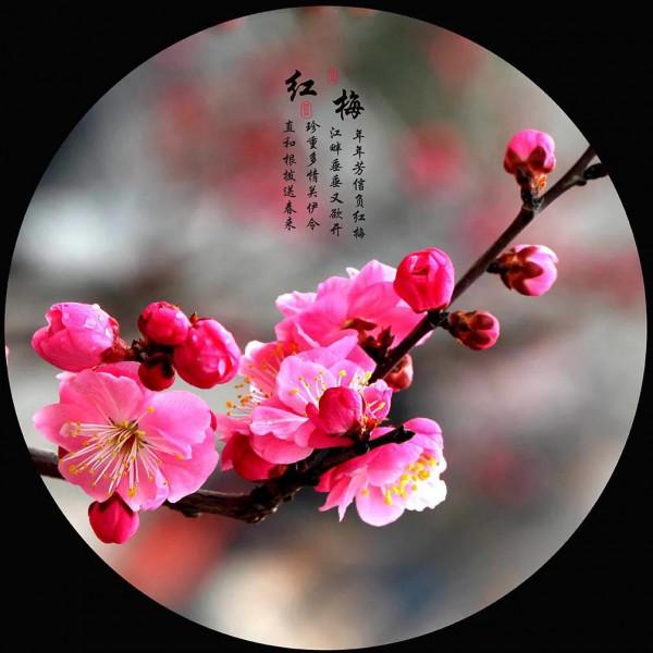 人生有閒趣，歲月不荒涼