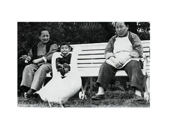 宋慶齡遺言:不與孫中山合葬,她陪我53年,讓她葬在我身邊 宋慶齡遺言:不與孫中山合葬,她陪我53年,讓她葬在我身邊