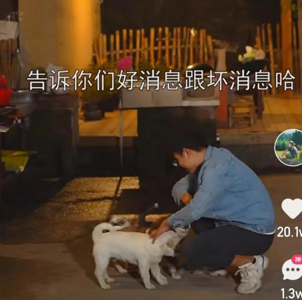 阿俊的二哈小年年跑丟了,大家幫忙找找 阿俊的二哈小年年跑丟了,大家幫忙找找