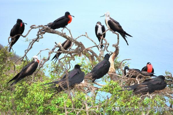 古代志怪故事：白蛇記，烏君山