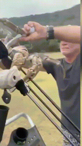 正在打高爾夫的澳洲大爺發現巨蟹正在順走自己的球杆