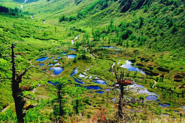 消失128年！極危物種重現雲南天坑，科學家正搶救性採集