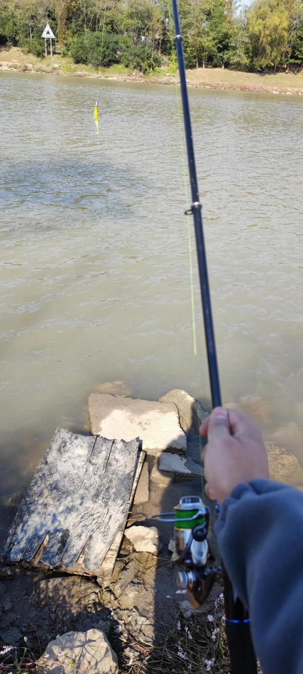 路不到魚不是你路亞技術不行,是資源 路不到魚不是你路亞技術不行,是資源