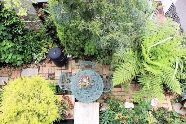 老人改造一個25年的70平米老花園,網友:幸福美滿的退休生活 老人改造一個25年的70平米老花園,網友:幸福美滿的退休生活