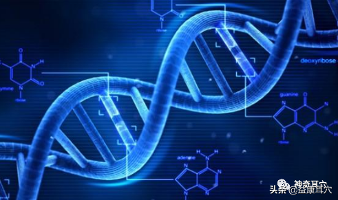 益康耳穴：耳與生物全息學說