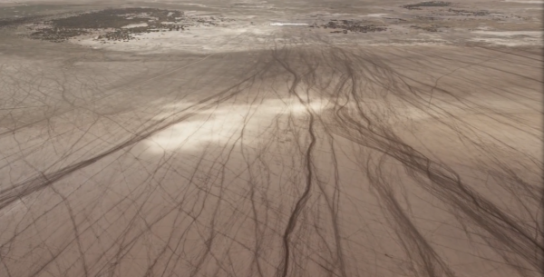 非洲特大旱災，動物屍橫遍野，50歲大象女王用智慧拯救族群