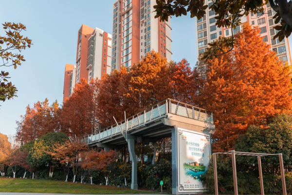 嗨，想和你一起看鹿城冬日限定美景