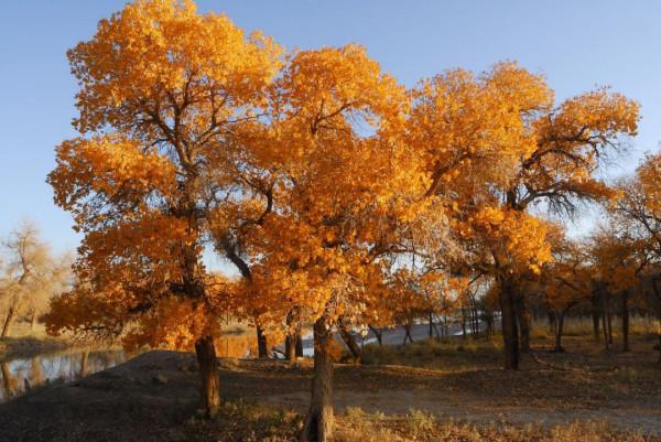面對新一輪疫情,每個人都能做到這八件事 面對新一輪疫情,每個人都能做到這八件事