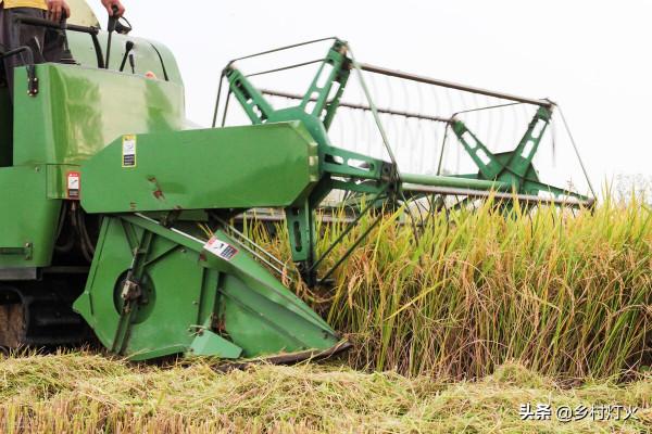 農民收入到底有多少？農村家庭一年能掙多少錢，能攢下多少呢？