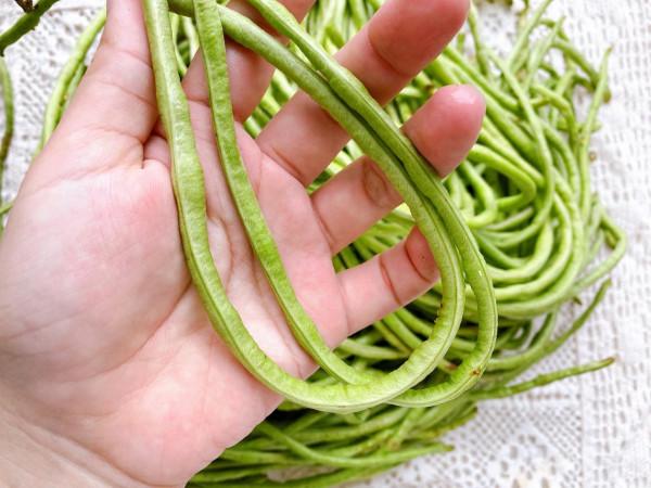 想吃酸豆角自己在家做，2種醃製方法，2天就能吃，酸辣脆爽不變質