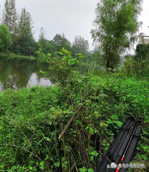 中秋節老三樣釣草魚 中秋節老三樣釣草魚