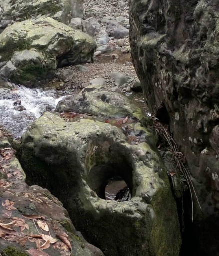 1951年，毛澤東對彭司令說：咱們倆都姓石，難道我們曾是一家人？