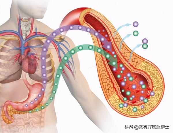 糖尿病並非終身疾病,其實有可能逆轉!逆轉的機制以及策略如何? 糖尿病並非終身疾病,其實有可能逆轉!逆轉的機制以及策略如何?